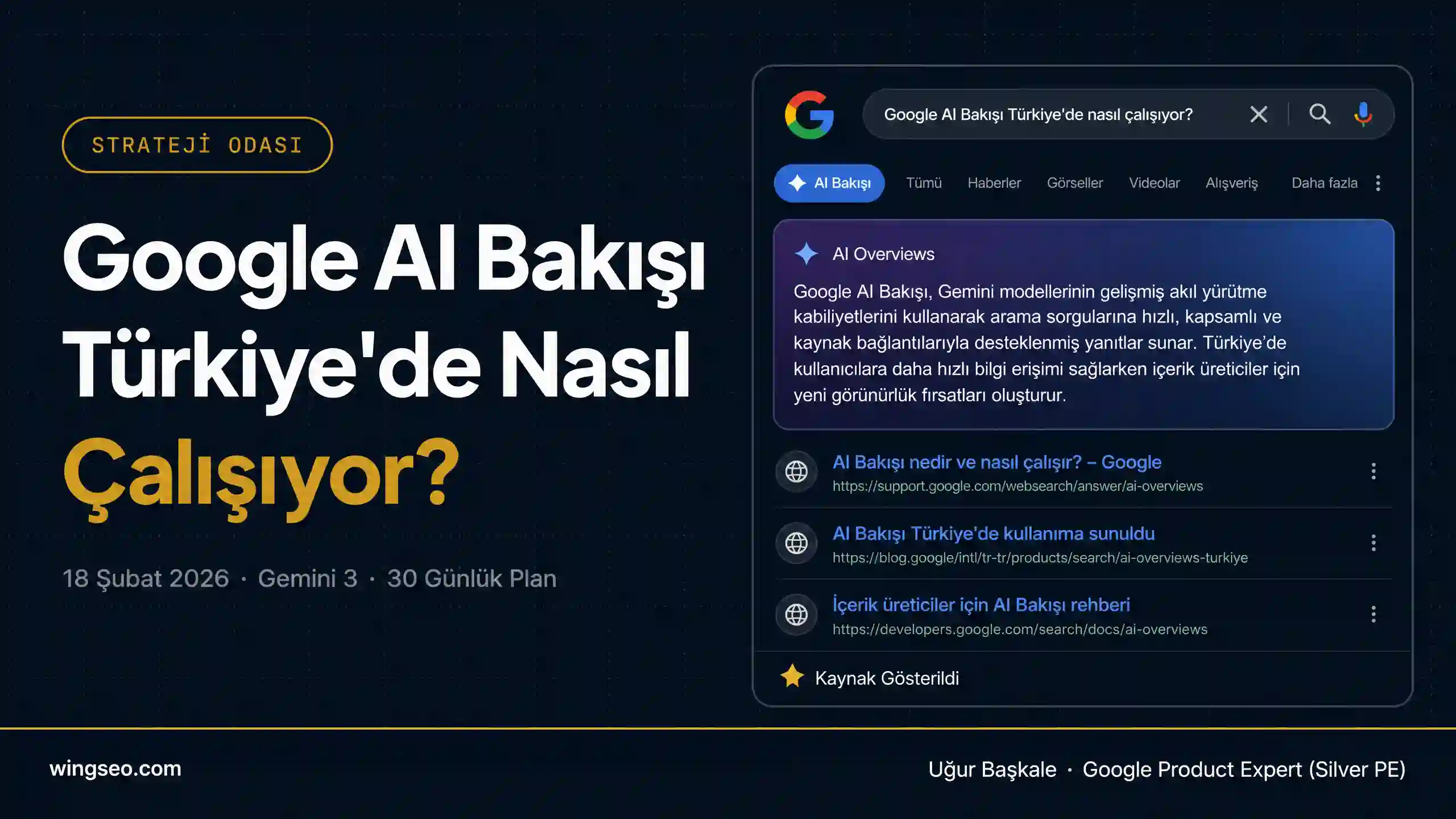 Google AI Bakışı Türkiye nasıl çalışıyor 30 günlük rehber